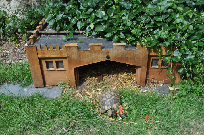 DSC_0064 Image of DSC_0064