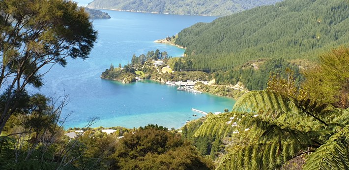 Image of 20200315_134009