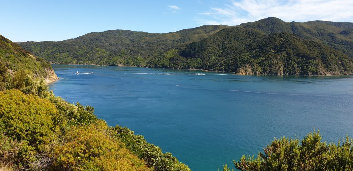 Image of 20200316_115836