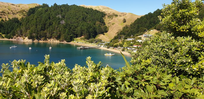 Image of 20200316_120525