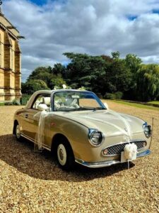 Charlie the Figaro dressed for a wedding in the sunshine