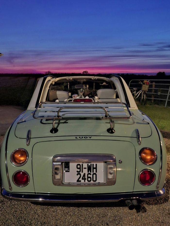 Image of Dolly2 700