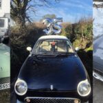 A collage of photos of Figaros celebrating the 35th birthday