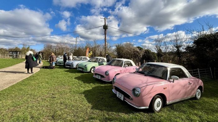 Image of littlefantfarm15 700