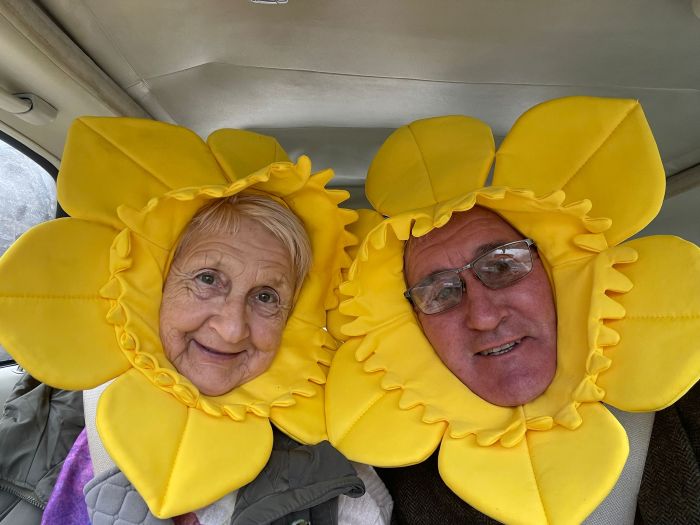 Image of Daffs 700