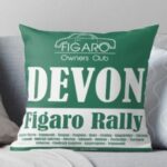 Devon Rally cushion