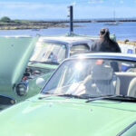 A Figaro getting lots of attention at a car show