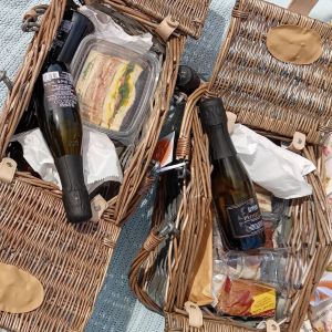Two of the picnics at the Big Birthday Bash