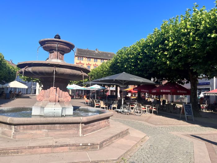 Image of IMG_7009 700
