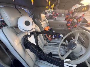 Figaros dressed for Halloween