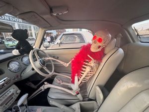 Figaros dressed for Halloween